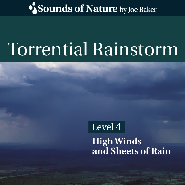 Nature Sounds by Joe Baker - Torrential Rainstorm